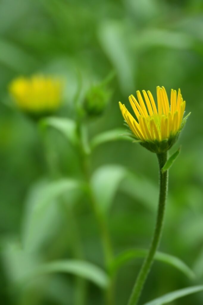 産後の抜け毛に効果的な育毛剤のおすすめは？