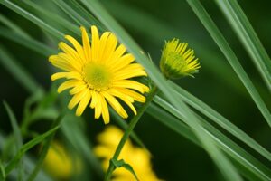 産後抜け毛に効果的な対策となる食べ物は？