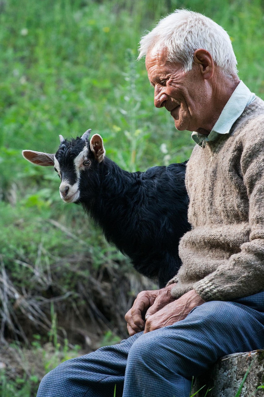 産後の抜け毛と白髪が同時進行する原因とは？