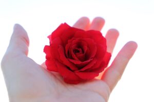 産後抜け毛に悩む芸能人の体験談とは？