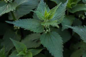 産後の抜け毛とかゆみの原因と対策は？