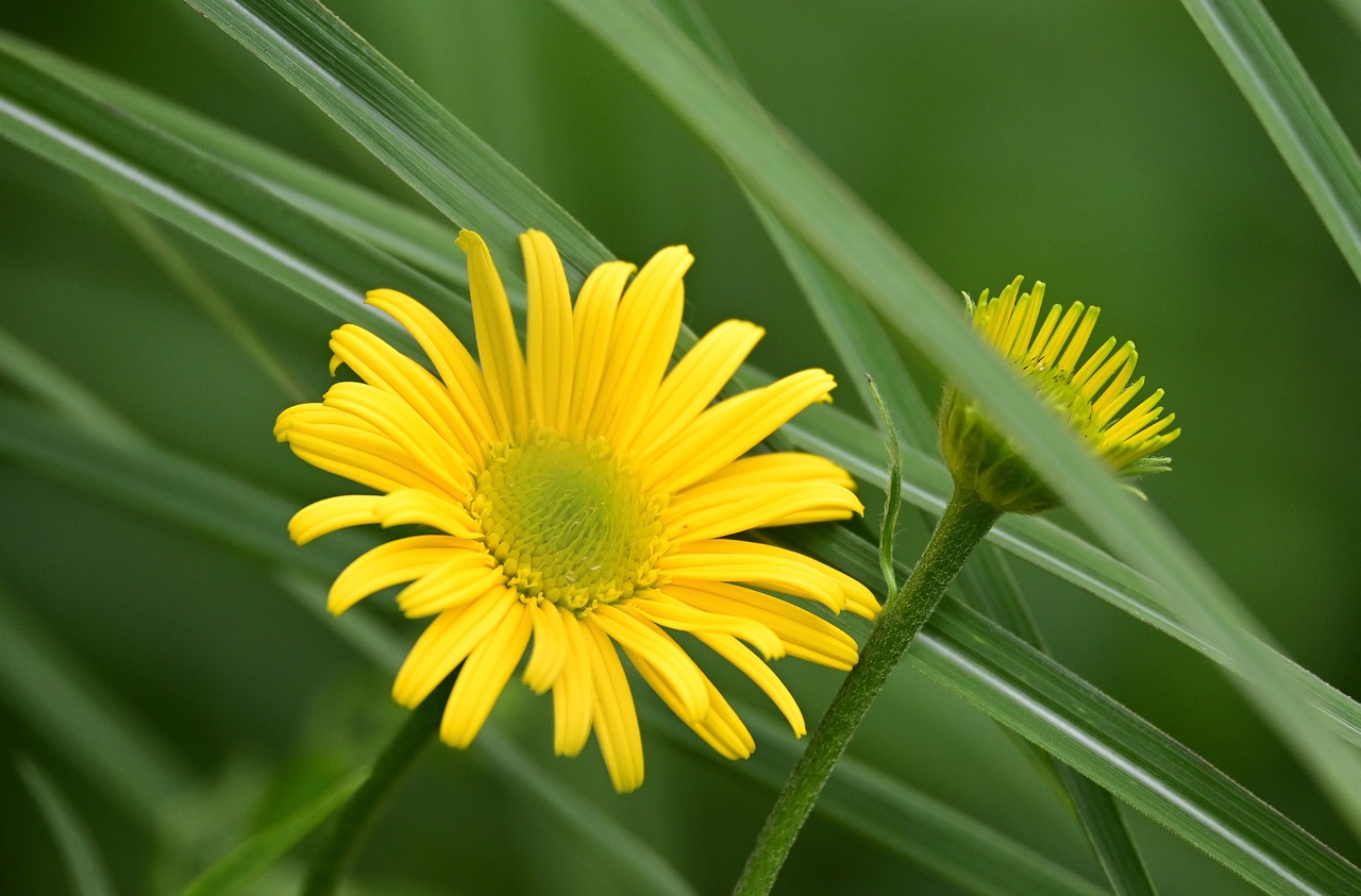 産後の抜け毛を自宅でケアする方法は？