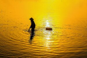 産後の抜け毛に関するSNSでの情報共有はどのように行われている？