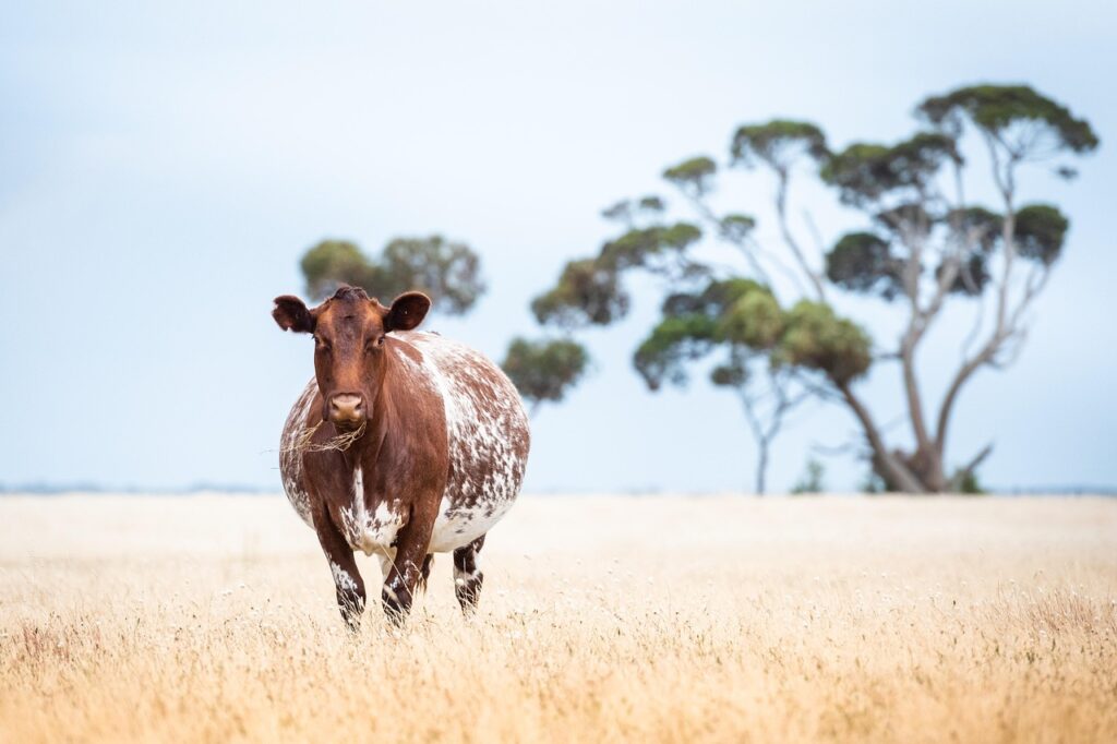 産後の抜け毛を防ぐためのセルフケア方法は？