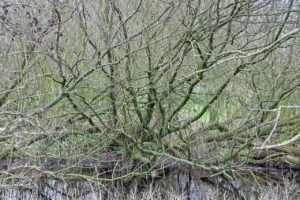 産後の抜け毛の原因はホルモンバランスに関係しているのか？