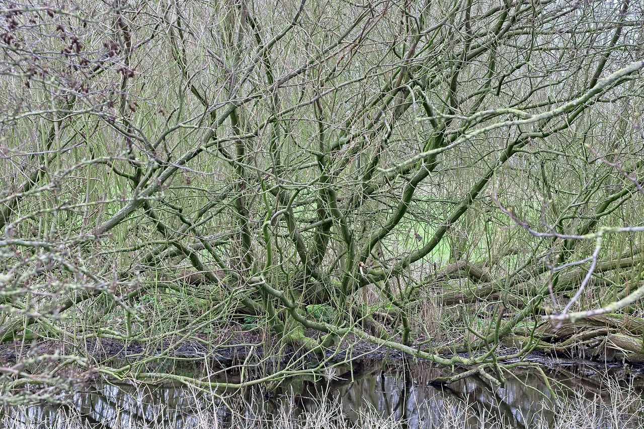 産後の抜け毛の原因はホルモンバランスに関係しているのか？