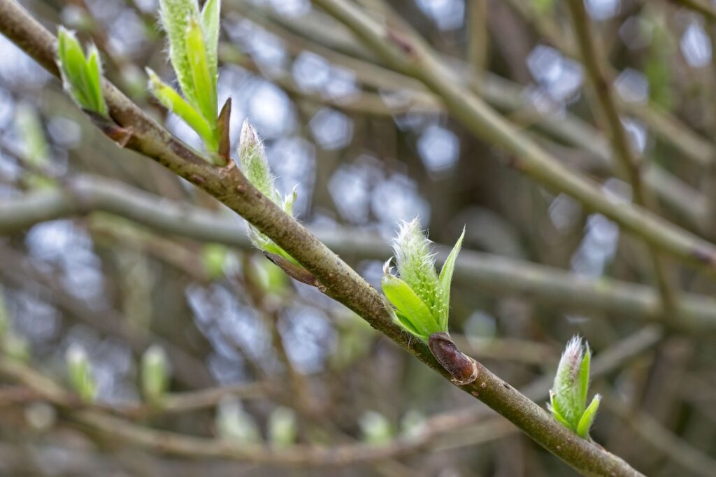 産後の抜け毛の原因は睡眠不足にあるのか？