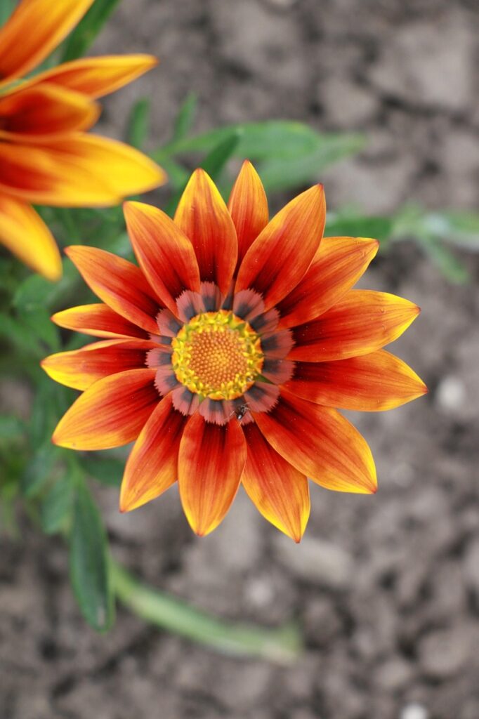 産後の抜け毛は3ヶ月が目安って本当？