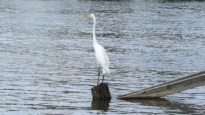 産後の抜け毛はいつまで続くのか？