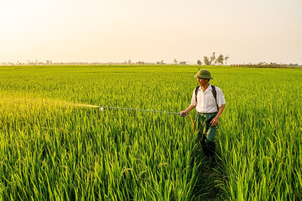 産後用育毛剤の比較でおすすめの商品は？