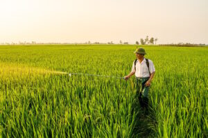 産後用育毛剤の比較でおすすめの商品は？