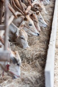 産後の髪の量はいつ増えるのか？