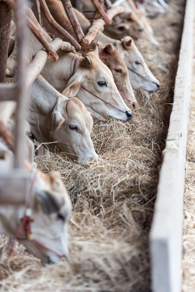 産後の髪の量はいつ増えるのか？