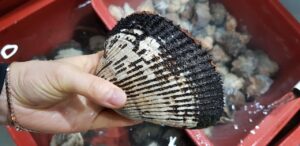 産後におすすめの無添加シャンプーはどれ？