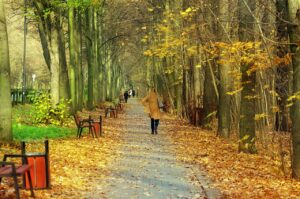 産後におすすめの鉄分サプリはどれですか？