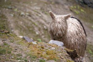 産後の前髪と生え際の悩みを解消する方法は？
