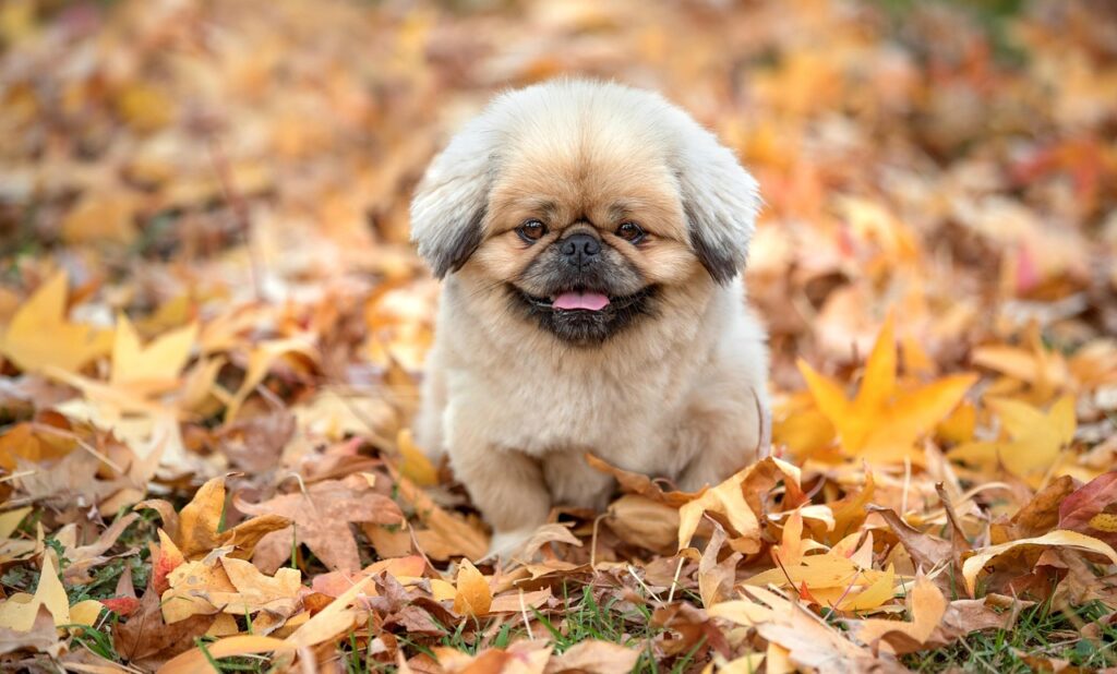 産後の抜け毛を緩やかに改善する方法は？