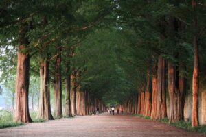 産後の育毛に役立つノウハウとは？