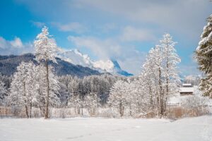 産後4ヶ月で急に増えた抜け毛はなぜ？