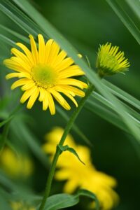 産後の抜け毛に悩むあなたへ、敏感肌でも使える育毛剤はこれで決まり？