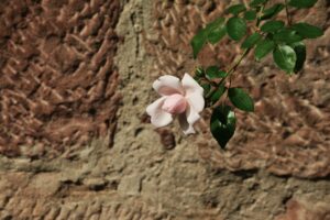 産後の抜け毛はオンライン診療で解決できる？授乳中の悩みをサポート！
