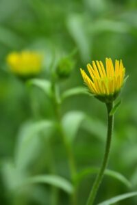 産後の抜け毛を改善する薄毛治療はどこがいい？